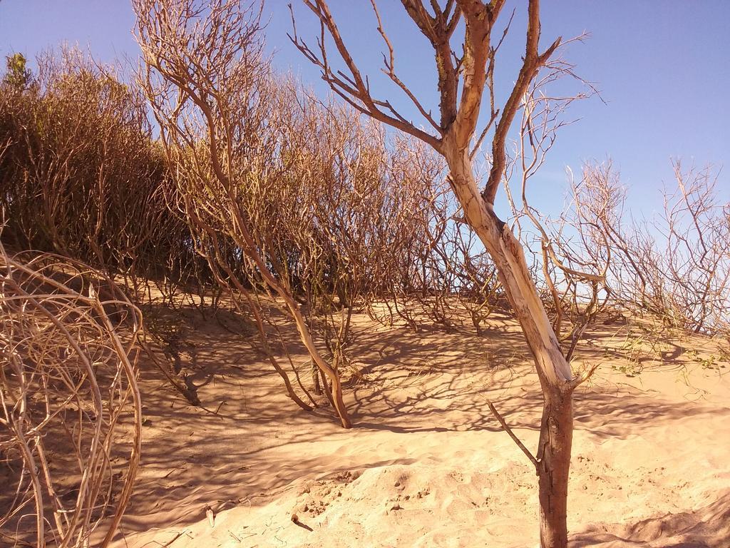 Cabanas Hurra Pampa Mar de Las Pampas Buitenkant foto